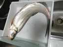 SHIMANO日本進(jìn)口魚(yú)線(xiàn)線(xiàn)PE線(xiàn)線(xiàn)路亞專(zhuān)用遠投線(xiàn)線(xiàn)超順滑中國紅8編大力馬魚(yú) 12編ygkPE線(xiàn) 線(xiàn)綠色200米【送真碳線(xiàn) 線(xiàn)】 0.6號 曬單實(shí)拍圖
