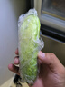 東北旱黃瓜現(xiàn)摘青瓜新鮮蔬菜水果黃瓜帶刺小黃瓜 旱黃瓜 3斤 單根≥90g 曬單實(shí)拍圖