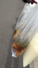 ALittleFlower適用于蘋(píng)果16鋼化膜iphone16手機膜高清防塵防指紋全包邊貼膜全屏覆蓋不頂手機殼保護膜2片 曬單實(shí)拍圖