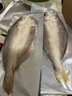 黃小漁南美黃魚鲞450g/2條 三去大黃魚黃花魚生鮮 海鮮水產(chǎn)燒烤夜宵魚類 曬單實(shí)拍圖
