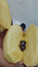正宗煙臺蘋果棲霞紅富士脆甜新鮮水果整箱生鮮蘋果水果 凈重4.5斤80mm 曬單實(shí)拍圖