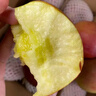 傾小野云南昭通冰糖心丑蘋(píng)果（順豐直達）新鮮丑蘋(píng)果紅富士孕婦水果當季 4斤特大果（6-8個(gè)） 曬單實(shí)拍圖