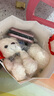 美的（Midea）國(guó)家補(bǔ)貼凈水器家用0阻垢劑白澤1000G 5年長(zhǎng)效RO反滲透 廚下式凈水機(jī)過濾器直飲機(jī)凈水機(jī) 2.65L/分 曬單實(shí)拍圖