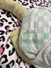 好奇（Huggies）小森林紙尿褲XL32片(12-17kg)尿不濕心鉆【透氧頂配更低敏】 曬單實(shí)拍圖