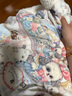 HOME HODO 紅豆家紡lolita可愛少女毛毯加厚冬季牛奶羊羔絨沙發(fā)蓋毯辦公室午睡披肩毯 公主城堡【超軟擼貓手感 不掉毛】 150*200cm（一個人蓋） 曬單實拍圖