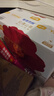 宜嬰弱酸紅山茶花3XL60片+2片拉拉褲小內(nèi)褲【品牌直供 安心品質(zhì)】 曬單實(shí)拍圖