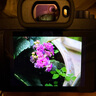 松下（Panasonic）LUMIX G100D 新手學(xué)生入門微單/單電無反M43畫幅數(shù)碼照相機 vlog拍攝視頻防抖 自拍翻轉(zhuǎn)屏 G100D+【12-60mm】白盒變焦套裝 曬單實拍圖