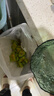 博洋9號甜瓜新鮮香瓜當季水果脆瓜博洋九非閻良年貨 禮盒 新鮮博洋9號甜瓜7斤 曬單實(shí)拍圖