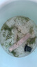 云峰海瑞水草活體懶人草魚(yú)缸造景活體水草套餐魚(yú)缸水草有莖類(lèi)中后景真水草 【實(shí)惠】-綠菊（5只一組） 曬單實(shí)拍圖