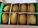 佳沛（zespri）新西蘭   陽(yáng)光金果 8個(gè)裝 超大果單果173-204g 獼猴桃 中秋禮盒 曬單實(shí)拍圖