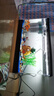 BARBAROUS GROWTH魚(yú)缸水族箱客廳陽(yáng)臺家用中小型自循環(huán)懶人免換水生態(tài)塑料金魚(yú)缸 大號黑色【造景氛圍套餐】 曬單實(shí)拍圖
