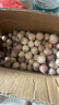 志褚獨頭蒜大蒜頭 2024云南大理紫皮獨蒜 精品新鮮現(xiàn)挖濕蒜 5斤裝【小果2.2-2.5cm】 曬單實拍圖