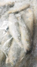黃小漁寧德海捕小黃魚(yú)2斤 15-18條/斤 冷凍黃花魚(yú)燒烤食材 生鮮魚(yú)類(lèi)中秋 曬單實(shí)拍圖