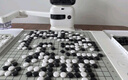 元蘿卜SenseRobotAI下棋機(jī)器人圍棋 對(duì)弈 習(xí)題  陪練 漲棋 AI講題 人機(jī)互動(dòng) 家用學(xué)習(xí)【圍棋專業(yè)版】 曬單實(shí)拍圖