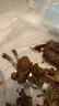 葷八廚 鴨脖2斤凈重 鴨貨生鮮鴨肉鴨子鴨脖子鹵菜燒烤火鍋食材冷凍食品 曬單實(shí)拍圖