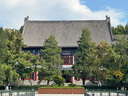 伊芙麗（eifini）蔣欣代言【可機洗】半高領(lǐng)全成型針織長(cháng)袖女新款羊毛萬(wàn)能打底衫 黑色 M 105-120斤 曬單實(shí)拍圖