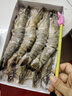 巨型活凍黑虎蝦大號燒烤生鮮蝦類(lèi)海鮮水產(chǎn)夜宵越南進(jìn)口 XXL 8只 18-23cm 550克(凈重) 曬單實(shí)拍圖