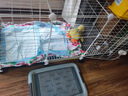 蔻絲狗籠子中小型犬帶廁所家用加粗加密寵物幼犬狗狗籠子圍欄柯基泰迪 白【109*49*57】升級底網(wǎng)承重強 升級款：腳墊+滑輪+托盤(pán)+扎帶 曬單實(shí)拍圖