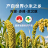 拾兄弟敖漢黃小米內蒙赤峰農家自產(chǎn)5斤當季新米新鮮五谷雜糧月子小米粥 【敖漢金苗 K1】黃小米5斤 內蒙古赤峰敖漢旗小米之鄉 曬單實(shí)拍圖