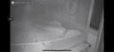 世喜新生兒防脹氣奶瓶3-7個月PPSU嬰兒仿母乳奶嘴240ml 曬單實拍圖