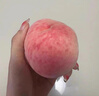 金秋紅蜜桃大果晚西妃水蜜桃子現摘大當季新鮮水果孕婦脆甜鮮桃SS 1斤單果【單果200g士】順豐快遞 曬單實(shí)拍圖