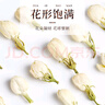 匠界養(yǎng)生花茶茉莉花苞2025新茶茉莉花茶四川原產(chǎn)花蕾舒郁養(yǎng)顏茶40g/盒 曬單實拍圖