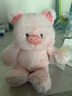 名創(chuàng  )優(yōu)品（MINISO）福莉絲豬系列-乖乖坐姿公仔毛絨玩具玩偶抱枕娃娃生日禮物女 曬單實(shí)拍圖