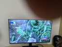 TCL雷鳥電視 50雀4 25款 50英寸 萊茵護(hù)眼雙認(rèn)證 自定義遙控器 無開機(jī)廣告 家電國家補(bǔ)貼電視50F195C 曬單實(shí)拍圖