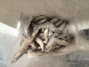 北海灣 蝦 青島大蝦鮮活冷凍基圍蝦 蝦類(lèi) 海鮮水產(chǎn)生鮮白蝦青蝦海蝦對蝦 鹽凍大蝦 3.6斤(凈重)  15-17cm【單只凍 無(wú)冰衣】 曬單實(shí)拍圖
