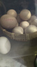德青源PLUS聯(lián)名款A(yù)+級鮮雞蛋32枚2.74斤無抗生素 節(jié)日禮盒裝 曬單實拍圖