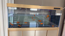 玉弘杰龍魚(yú)缸客廳大型水族箱底濾超白玻璃家用隔斷生態(tài)金魚(yú)缸自動(dòng)免換水 金拉絲+香檳金 80*40*160cm 曬單實(shí)拍圖