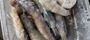 東上御品蝦 青島大蝦基圍蝦鮮活青蝦白蝦海蝦對(duì)蝦冰蝦凍蝦生鮮 蝦類 海鮮 3斤(凈重)  氣凍大蝦【活蝦速凍】 15-18cm【單只超大蝦】 曬單實(shí)拍圖