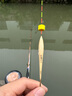 民間藝人蘆葦浮漂輕口高靈敏鯽魚(yú)加粗醒目魚(yú)漂鯉草混養魚(yú)漂羅非黑坑浮標 LB04底釣中小型魚(yú)細尾 2號 曬單實(shí)拍圖