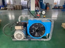 都格潛水高壓充氣泵30mpa正壓式消防壓縮機(jī)空氣呼吸器電動(dòng)打氣機(jī)20mpa DG-100DJ-110V手動(dòng)關(guān)機(jī) 曬單實(shí)拍圖