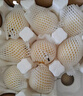 京覓河北皇冠青梨凈重3斤裝單果250g+新鮮水果 產(chǎn)地直發(fā) 曬單實(shí)拍圖