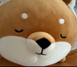 名創(chuàng)優(yōu)品（MINISO）柴犬系列毛絨公仔趴姿玩具娃娃抱枕睡覺室內臥室辦公室生日禮物 曬單實拍圖