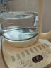 榮事達(dá)（Royalstar）養(yǎng)生壺 燒水壺煮茶壺電熱水壺恒溫壺?zé)踔笠惑w花茶壺暖奶器24H保溫1.8L家用辦公室開水壺 YSH18L19A 曬單實拍圖