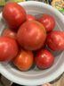 京鮮生沙瓤粉西紅柿 凈重3斤 單果100g+果菜兩吃 源頭直發(fā) 【搜生鮮館】 曬單實(shí)拍圖