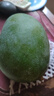 正宗凱特芒果 肉厚甜心芒熱帶當(dāng)季新鮮水果整箱 帶箱2斤單果300g+ 曬單實拍圖