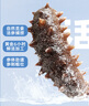 久年大連即食海參1斤16-18只遼參京東自營(yíng) 固形物超85% 生鮮海鮮盒裝 曬單實(shí)拍圖