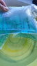 寵小俠純種孔雀魚(yú)觀(guān)賞魚(yú)好養耐活淡水小型魚(yú)熱帶魚(yú)鳳尾熱帶魚(yú)小魚(yú)苗 練手孔雀2-3cm60條（40送20備損 曬單實(shí)拍圖