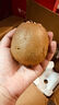 紅運(yùn)道陜西徐香獼猴桃綠心奇異果大果應(yīng)當(dāng)季新鮮周至泥猴桃現(xiàn)摘整箱 【拍下享優(yōu)先發(fā)貨 再送專用果勺】 18枚大果 【單果90-100g】高復(fù)購 曬單實(shí)拍圖