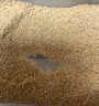 味之素 鰹魚粉木魚素120g 日本進口  海鮮風味調(diào)味料柴魚粉 關東煮湯料 曬單實拍圖
