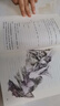 童年+愛的教育+小英雄雨來 人教版快樂讀書吧六年級上冊套裝 曹文軒、陳先云主編語文教科書配套書目 曬單實拍圖