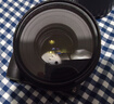 騰龍（Tamron）F072Z 90mm F2.8 Di III MACRO VXD定焦微距鏡頭 人像昆蟲(chóng)花草口腔 全畫(huà)幅微單鏡頭(尼康Z卡口) 曬單實(shí)拍圖