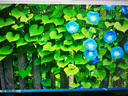 創(chuàng  )維27英寸電競顯示器2K原生200Hz 1ms FastIPS HDR400光感屏變 10bit 硬件低藍光旋轉升降F27G32Q Pro 曬單實(shí)拍圖