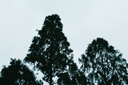 松下S5M2（20-60mm F3.5-5.6）（Panasonic）S5二代 全畫(huà)幅微單相機 約2420萬(wàn)有效像素 新相位混合對焦 曬單實(shí)拍圖