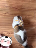 snowpaws貓咪牽引繩貓繩胸背帶遛貓繩溜貓繩子背心寵物防掙脫逃脫背帶鏈子 曬單實拍圖