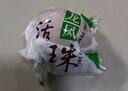 活珠子香辣50g*10枚+五香50g*10枚毛雞蛋13天新鮮雞胚蛋 曬單實(shí)拍圖