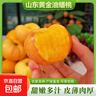 黃金油蟠桃新鮮水果現摘奶油黃蟠桃彩虹油桃子輕微果銹-昕 【單果100g+】?jì)糁?斤 曬單實(shí)拍圖